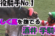 酒井学ジョッキーって馬質に恵まれてないだけで実は相当上手い可能性