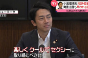 【悲報】小泉進次郎「コンビニのプラスチックスプーンやフォークを有料化にします」