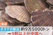 水産業者「このままでは倒産…困った」→愛国者「自業自得だろ！」「補助金チューチューしたいのか！」と罵倒