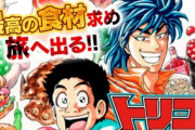【トリコ】←こいつがDB、ワンピース、ナルトと並ぶバトル漫画になれなかった理由wowowowowowowowowow