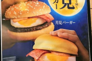 マックの期間限定バーガー大体うまくない説