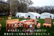 日本「本物と実質ﾋﾗﾘｰの見分け方！」米国「指の長さが違う！（画像」謎の勢力「ﾜｸﾁﾝにﾏｲｸﾛﾁｯﾌﾟ入れよう（特許取得」日本「特許番号検索で公開されいる闇！」→