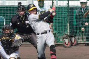 阪神　売り出し中の2年目野口が3回にタイムリー　3番スタメン出場で存在感