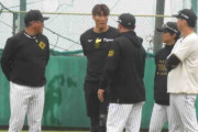 【阪神】糸井嘉男ＳＡが高知・秋季キャンプに合流　野手転向の西純矢にイズム継承を期待