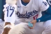 【ドジャースのアイドル】大谷翔平とデコピンの始球式にネット騒然「カワイすぎる」