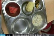 韓国人の反応「日本との格差に涙が…」 外国人教師が給食の質の高さに衝撃→韓国もまけてないぞ。。。。。知ってた？