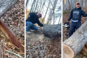 どこからこんなに！？伐採した一本の木から信じられないほどの量の液体が噴出！