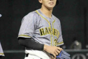阪神２軍　ドラ２井上がリーグトップ８号ソロ　松田遼からバックスクリーンへ
