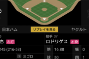 ヤクルト新外国人ロドリゲス3回途中5失点