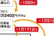 【調査結果】備蓄米、JAは利益なし価格で販売　必要経費だけ上乗せ　卸売業者に販売する段階で上乗せされた金額は60キロ当たり1050円税別（日本農業新聞）