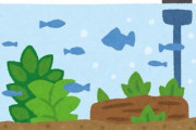 『水草水槽アクアリウム』とかいう富豪の趣味