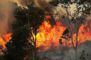 外国人「アマゾン熱帯雨林の火災が深刻、もっと多くの人が知るべきだ」
