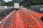 【トマト】「40m～50mは散らばってた」　約13トン“大量トマト”が高速道路埋め尽くし真っ赤に　東北自動車道が一次通行止め