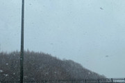 めっちゃ雪降ってるがな