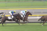 期待してたのにGI勝てなかった馬