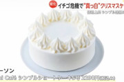 日本のクリスマスケーキ、限界突破ｗｗｗ（※画像あり）