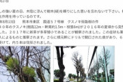 【速報】レクサス店舗前でも街路樹枯死ｗｗｗｗｗｗｗｗｗｗｗｗｗｗｗｗｗｗｗｗｗｗｗｗｗｗｗ