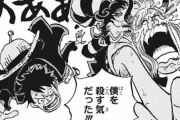 【ONEPIECE -ワンピース】討ち入りから一年経った現状がヤバいｗｗｗｗｗ