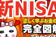 【悲報】男性(65)「NISAで2000万溶けた…銀行マンが投資をした方が得って言ってたのに」