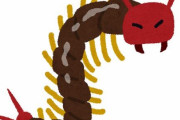 ムカデ「毒あります、どこからでも侵入できます、潰されてもなかなか死にません。」