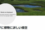 書籍化発表をした「やけに植物に詳しい悟空」さん、Twitterからアイコンと宣伝ツイートが削除「権利関係者からの抗議を受けたためではない」