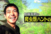 TBS『クレイジージャーニー』ヤラセ発覚で放送休止