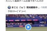【悲報】阪神ファンさん、中日ファンが撮影した試合前ハイタッチ動画にブチギレてしまうwwwwwwwwwwww