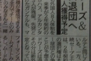 【悲報】阪神・サンズ退団