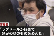 倉庫に入り『ラブドール』を5体盗んだ男を逮捕「好みの顔のものを盗んだ」