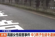 【悲報】千葉で中学3年生の15歳少年が通り魔殺人｢誰でもいいから殺してやろうと思った｣