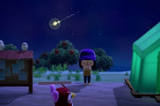 【あつまれどうぶつの森】流れ星見たのにいいことありませんでした…　←Aボタンでお祈りするんだ！