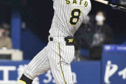 阪神・佐藤輝　セ・トップタイ６号＆２安打で３割目前「日々アップデートしています」