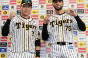 阪神スアレス独壇場、ドリスに並ぶ球団最速で20Ｓ