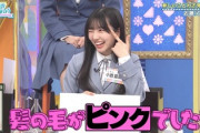 【日向坂46】若林さん「お前ナメてんのか？」唐突なギャル小西が可愛すぎるwww