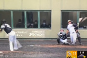 【二軍】阪神ドラ3井坪、ホームランｗｗｗｗｗｗｗｗｗｗｗｗｗｗｗｗｗｗｗｗｗｗｗｗ