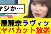 【櫻坂46】守屋麗奈ラヴィットで激ヤバカットが放送される…#櫻坂46 #そこ曲がったら櫻坂#森田ひかる #藤吉夏鈴 #sakurazaka46 #欅坂46#村山美羽 #田村保乃#何歳の頃に戻りたいのか