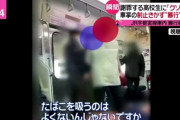 宇都宮線で殴られた高校生、グラサンかけて大声で威嚇して自分から手を出していた。あと野球部だった