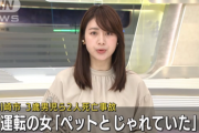 川崎死亡事故の容疑者「助手席に乗せていたインコとじゃれていた」