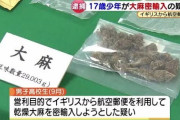 愛知県西尾市　大麻を密輸し売りさばいていた高校生逮捕。  [12/11]