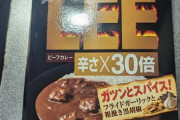 【LEE30倍】激辛カリー食べるぞ！ → その結果･･･