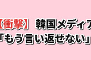 【衝撃】韓国メディア「英紙に『日本を見習え』と説教され…なにも言い返せねえ」