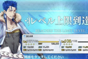 【FGO】性能目当てで兄貴に聖杯入れてしまった←聖杯や伝承結晶をもっと配布してくれ【FateGO】