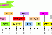 【衝撃】キリンの睡眠時間、ヤバすぎるｗｗｗｗｗｗｗｗｗｗｗｗｗ