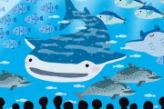 Fランを動物園と揶揄するのはよく見るけど、水族館と揶揄するのは全く見ない理由ｗｗｗｗｗｗｗｗｗ