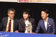 【動画】小泉進次郎、記者会見の場で保護犬に一生顔面舐められる事故発生