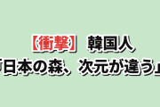 【衝撃】韓国人「日本の森、韓国とは次元が違うんだが…」