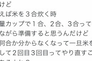 発達障害者「お米3合炊こうとしても途中で軽量カップ何杯入れたか分からなくなる、このぐらいヤバい」 |  ボタン押して定量出る米びつ買え