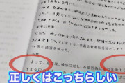 【YouTuber訴訟騒動】桜鷹虎氏が「シバター訴訟～訴訟提起編～」を公開　請求金額は101,004,159円！？
