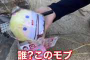 【衝撃】中堅YouTuber、ホロライブのぬいぐるみを爆竹で爆破してしまう…