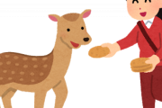 【悲報】メディア「コロナのせいで奈良の鹿がせんべい食べられなくて激ヤセ」　奈良「奈良せんべいはおやつだぞ」